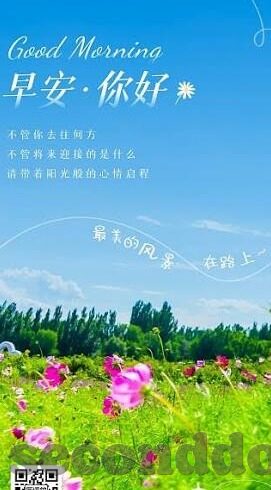麻豆传媒短视频-麻豆传媒短视频，当代社会中的文化现象与反思