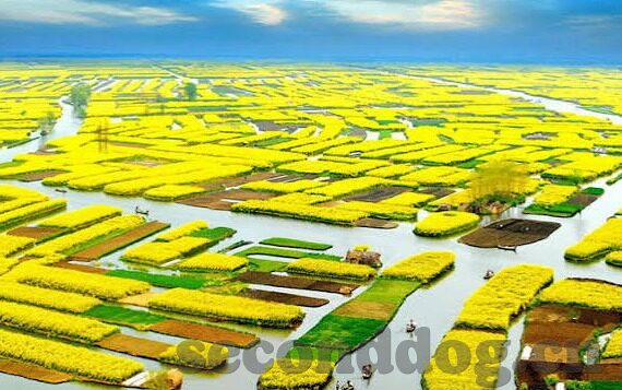麻豆传媒全集torrent-麻豆传媒网络传播事件的真相与解读