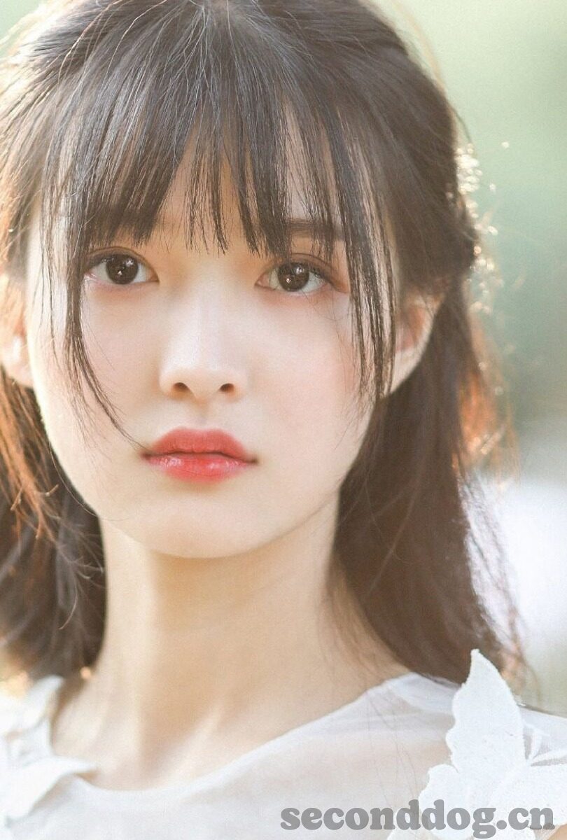 欧美最大成人免费视频-欧美成人视频的全球视角，文化、影响与伦理考量