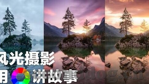 人妻www-现代家庭中的温暖港湾，人妻的角色与价值