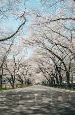 日韩av网站按摩-日韩AV网站与按摩文化的独特魅力，探索成人娱乐的另一面